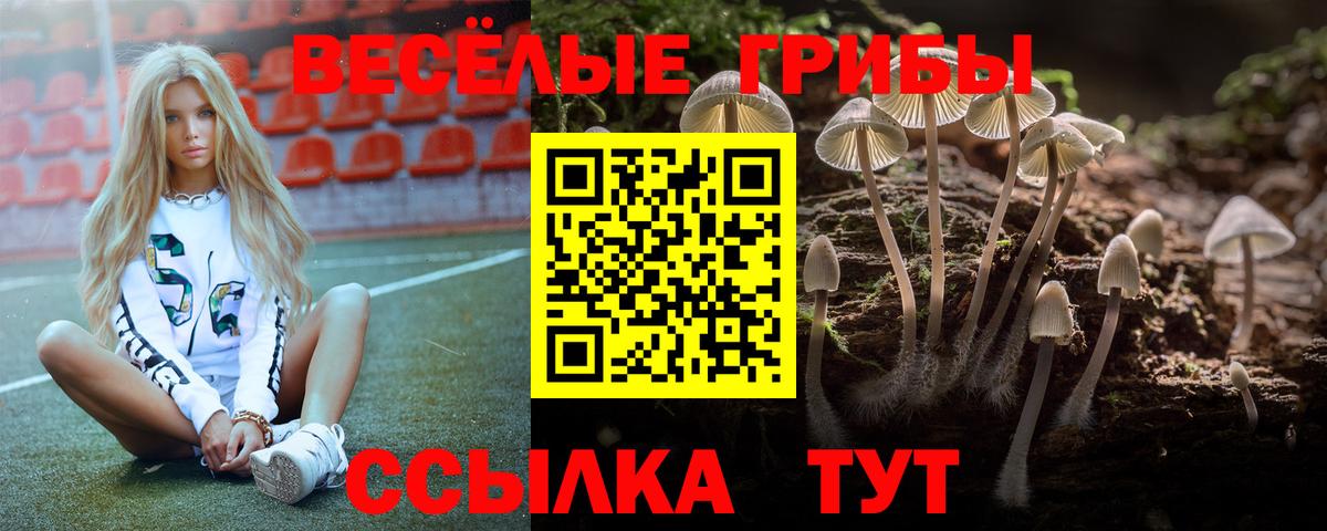 Псилоцибиновые грибы Magic Shrooms Заволжье
