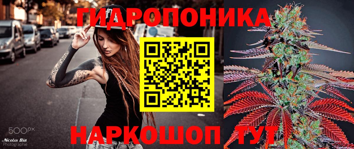МАРИХУАНА семена Заволжье